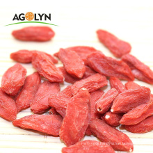 Chinese new red Gojiberry for wholesale